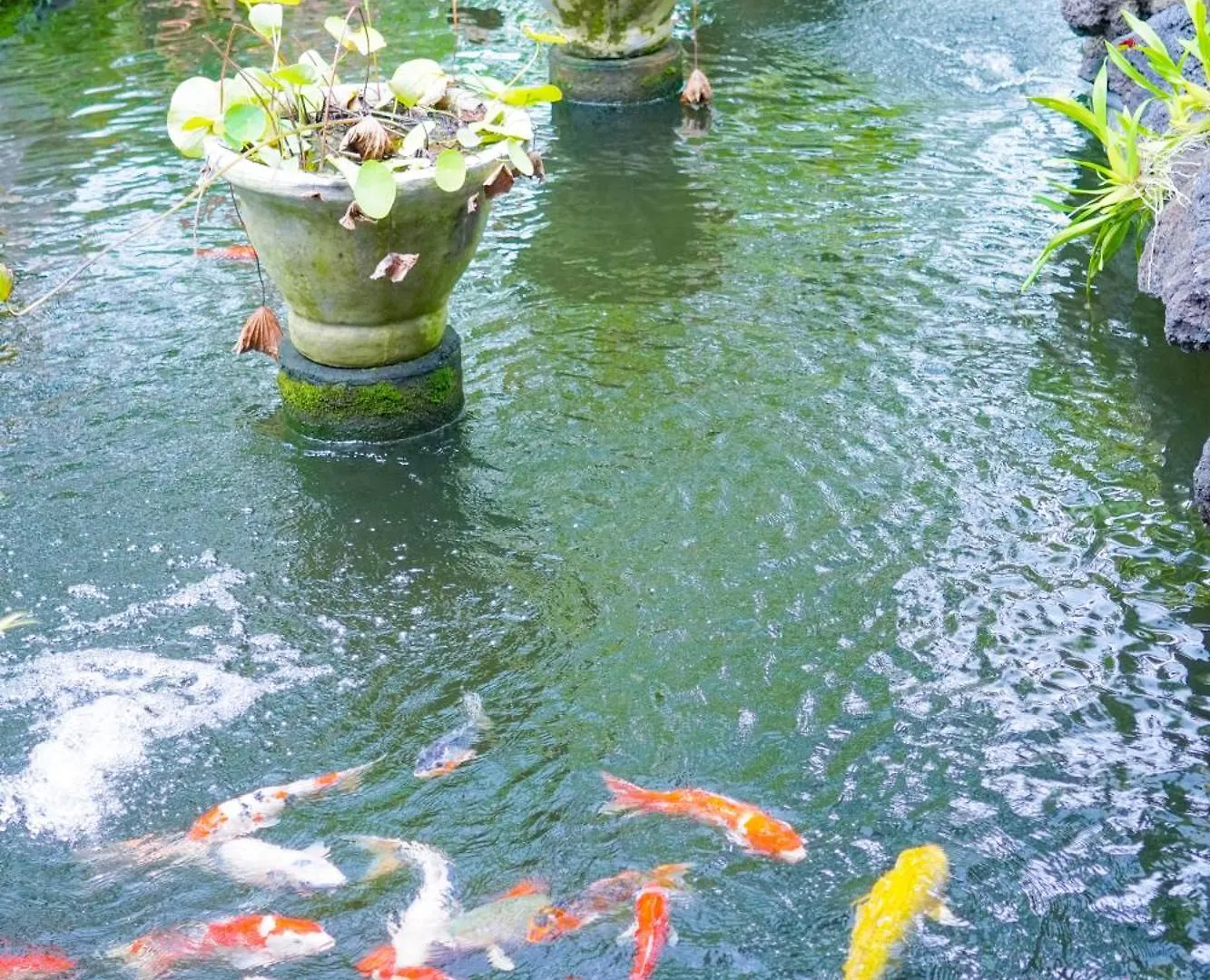 **** Vakantiepark Bije Suite Villa Ubud Indonesië